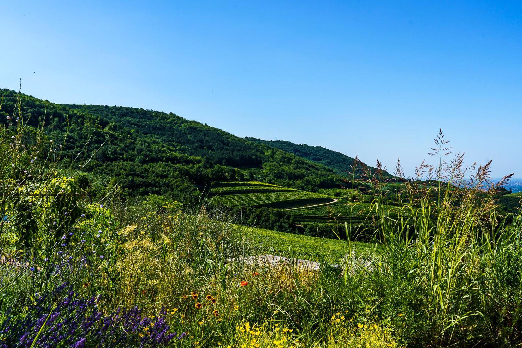 Villa Balis Crema Verona Hills (Adults Only) Grezzana Exterior foto